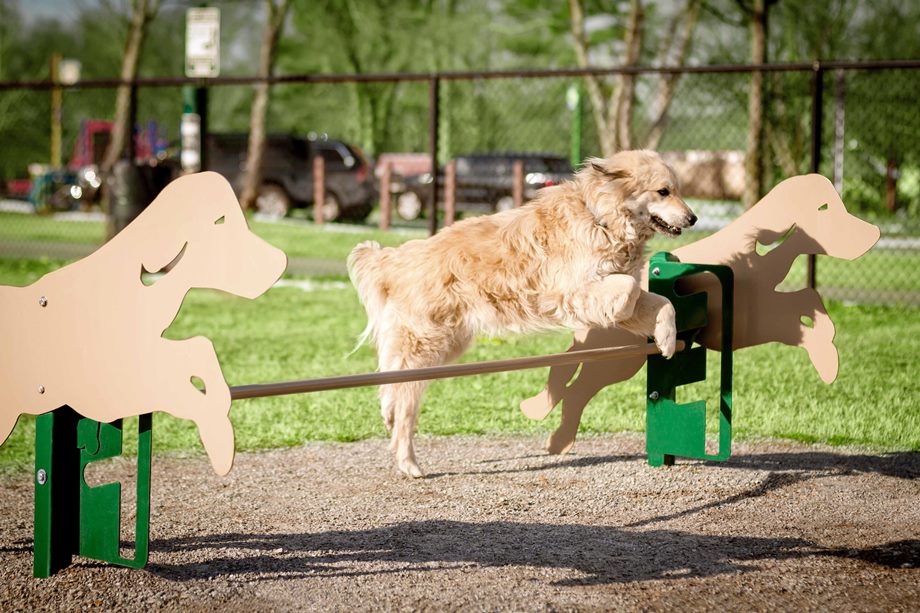 Dog Park Equipment